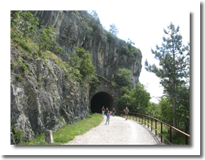 Nežnejša skupina na kolesarski stezi